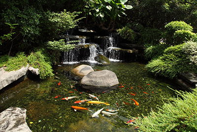Water Features Orwigsburg, PA