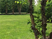 Landscape Design