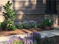 Landscape Design