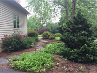 Landscape Design