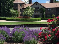 Landscape Design