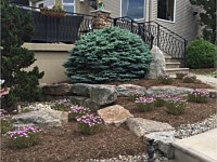 Landscape Design