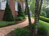 Landscape Design