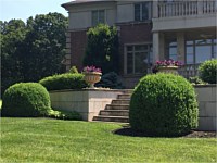 Landscape Design