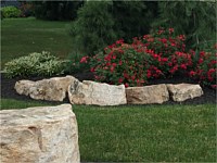 Landscape Design