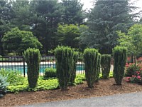 Landscape Design