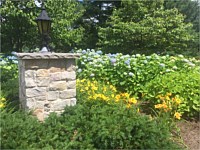 Landscape Design