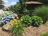 Landscape Design