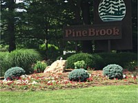 Landscape Design