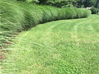 Landscape Design