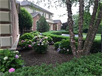 Landscape Design