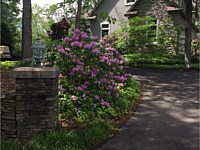 Landscape Design