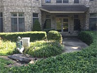 Landscape Design