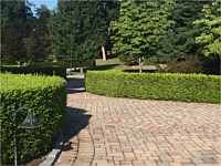 Pavers and Block