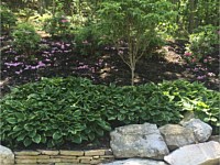 Stone and Boulders