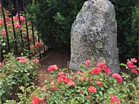 Stone and Boulders