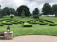 Landscape Design