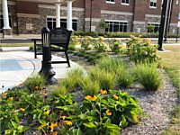 Landscape Design