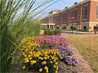Landscape Design