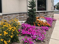 Landscape Design