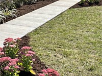Landscape Design