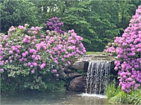Ponds Fountains & Waterfalls
